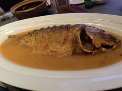 红烧黄河大鲤鱼-阿庄新豫菜(航海东路店)