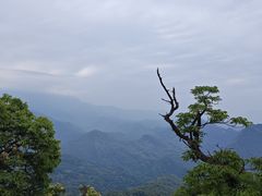-青城山