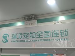 -瑞派先诺宠物医院•猫专科•普外科•中兽医(佛山院)
