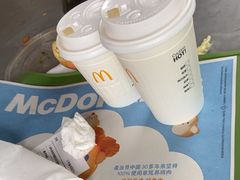 -麦当劳(塔园路店)