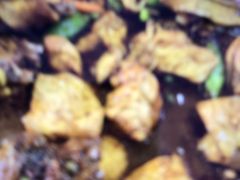 -八两八金·莱芜特色炒鸡(市南漳浦路店)