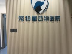 -宠物星动物医院·眼科·异宠·猫科(江南大道总院)