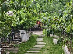 -桃源山庄·水蜜桃采摘·柴火鸡·烧烤团建(龙泉山店)
