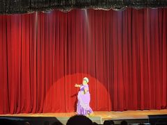 -金东尼人妖秀