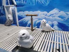 -成都浩海立方海洋公园