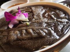 -红鼎坊·老成都火锅(新南门店)