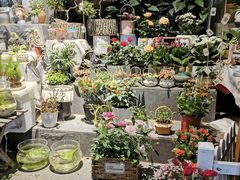 -循礼门鲜花花市(武汉循礼门店)