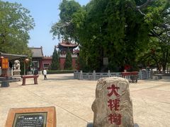-大槐树寻根祭祖园