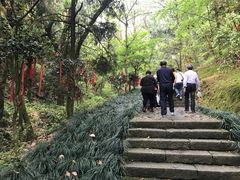 -梦姑塘文化公园
