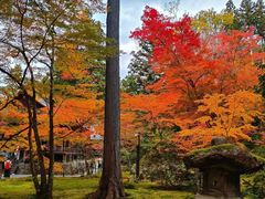 -三千院
