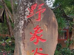 -野象谷景区