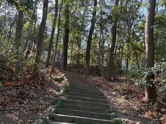 -九曜山