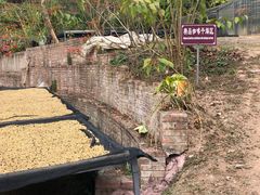 -Torch Coffee 炬点咖啡