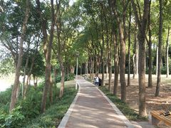 -美兰湖景区