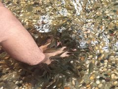 -融汇温泉