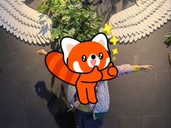 -MD KTV(居然之家店)