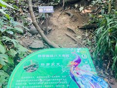 -西双版纳原始森林公园