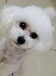 -煊私人定制美发会所