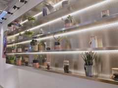 -CoCo都可(360丰产店)