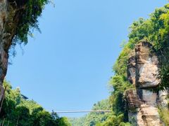 -川西竹海景区