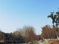 -九科绿洲