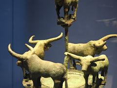 -昆明市博物馆(昆明市文物保护和考古研究中心)
