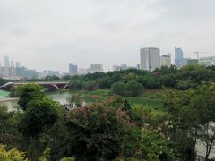 -万达广场(南宁青秀店)