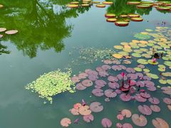 -国家植物园南园