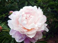 -长春公园(普阳街道)