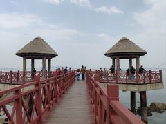 -养马岛旅游度假区