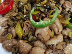 -盛燕泥丁粥