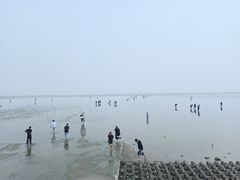 -奉贤海滩