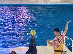 -泉城欧乐堡海洋极地世界