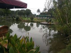 -洪湖家庭农场·团建·露营·会议