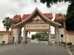 -大湾区中央湿地公园