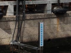 -练塘古镇