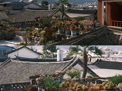 -唐咖精品咖啡(大理古城手冲店)