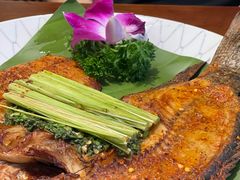 -紫滇源云南生态菜(丹凤街店)