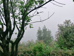 -影珠山