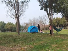 -洨河生态公园