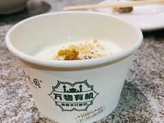 自制酸奶-紫光园(创始店)