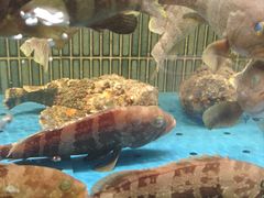 -徐记海鲜·家宴(南油永新汇店)