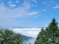 -白草畔自然风景区