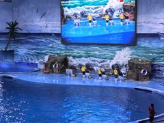 -多彩贵州城极地海洋世界