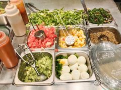 -油梨树AVOCADO TREE(顺义新国展店)