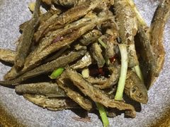 -丰乐餐厅·始于1999·本地老字号