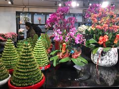 -双季花艺园艺市场(浦东店)