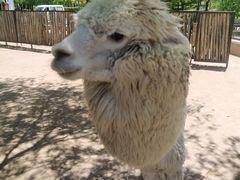 -鄂尔多斯野生动物园