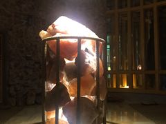 -御池园(顾村公园店)