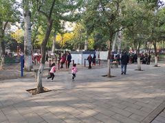 游乐设施-莲湖公园